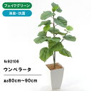 No92106 プレミアム光触媒フェイクグリーン 「フィカス・ウンベラータ 高さ90cm 幅50cm 奥行40cm(白角ポットとヤシの繊維付)完成品」 【ギフト...
