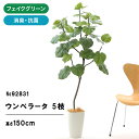 フェイクグリーン 観葉植物 フェイク 人工観葉植物 大型 光触媒 造花 インテリア リアル おしゃれ お祝い ウンベラータ 鉢 葉 枝 観葉樹 150cm シンプル オフィス 室内 リビング 空気清浄 消臭 抗菌 フィカス 豪華 スマートポット ヤシの繊維 92831