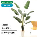 フェイクグリーン 観葉植物 フェイク 人工観葉植物 大型 光触媒 造花 インテリア リアル おしゃれ 鉢 ストレリチア オーガスタ 観葉樹 190cm 200cm シンプル オフィス 室内 リビング 空気清浄 消臭 抗菌 スマートポット ヤシの繊維 組立式 92991