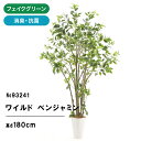 フェイクグリーン 観葉植物 フェイク 人工観葉植物 大型 光触媒 造花 インテリア 鉢 リアル おしゃれ お祝い ベンジャミン 観葉 植物 木 樹 180cm シンプル オフィス 室内 リビング 消臭 抗菌 ワイルド・フィカス スマートポット ヤシの繊維 【日付指定・ギフト不可】No93241