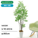 フェイクグリーン 観葉植物 フェイク 人工観葉植物 大型 光触媒 造花 インテリア リアル おしゃれ 鉢 お祝い シマトネリコ 160cm シンプル オフィス 室内 リビング 空気清浄 消臭 抗菌 酸化チタン 4本立 高さ 160cm スマートポット ヤシの繊維 【日付指定・ギフト不可】93281