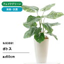No93691 プレミアム光触媒フェイクグリーン 「ポトス 葉12枚 高さ60cm 幅50cm 奥行45cm(白丸ポットとヤシの繊維付)完成品」【ギフト不可】【...