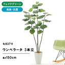 フェイクグリーン 造花 観葉植物 フェイク 人工観葉植物 大型 光触媒 インテリアグリーン リアル おしゃれ お祝い ウンベラータ 鉢 葉 3枝 観葉樹 150cm シンプル オフィス 室内 リビング 空気清浄 消臭 豪華 スマートポット ヤシの繊維 93711