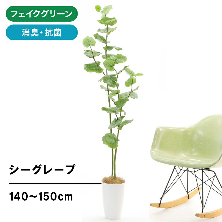 フェイクグリーン 人工観葉植物 観葉植物 フェイク 造花 人工 光触媒 植木 樹 シンプル オフィス おしゃれ インテリア 大型 室内 鉢 観葉樹 空気清浄 消臭 抗菌 銀 酸化チタン 光触媒 シーグレープ 2本立 高さ 140cm 150cm 幅40cm 奥行40cm スマートポット No32560のサムネイル