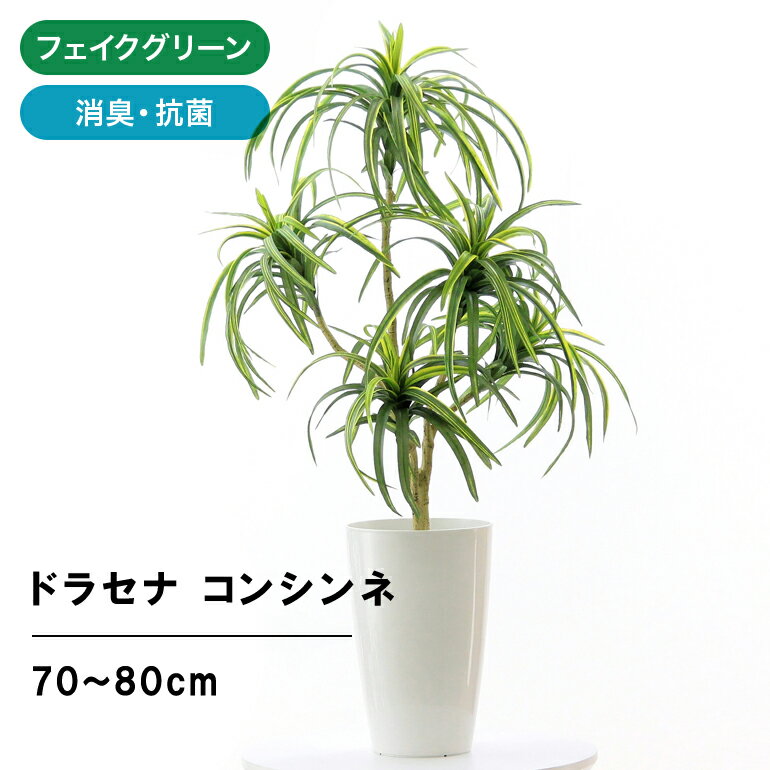 フェイクグリーン 観葉植物 フェイク 人工観葉植物 光触媒 造花 インテリア リアル おしゃれ お祝い ドラセナ コンシンネ 鉢 植木 葉 枝 観葉樹 70cm 80cm シンプル オフィス 室内 空気清浄 消臭 抗菌 銀 5枝 高さ70〜80cm 白丸ポット 80582