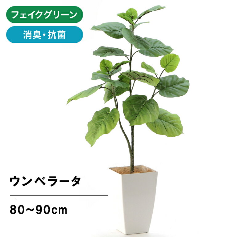 フェイクグリーン 人工 観葉植物 造花 光触媒 鉢 植木 葉 枝 観葉樹 室内 おしゃれ リアル フィカス ウンベラータ 80～90cm インテリア 人気 空気清浄 人工 玄関 リビング オフィス 部屋 爽やか 枝ぶり 緑 シンプル 初心者 酸化チタン 消臭 観葉樹 CHIC7 No92106