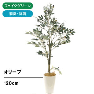 フェイクグリーン 人工 観葉植物 造花 120cm 光触媒 鉢 植木 葉 枝 観葉樹 フェイク 室内 大型 木 おしゃれ リアル インテリア 空気清浄 リビング オフィス 部屋 玄関 シンプル 初心者 酸化チタン オリーブ 高さ120cm 幅60cm 奥行60cm（白丸ポット＋ヤシの繊維付）No92701