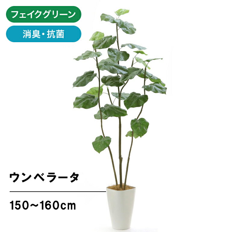 フェイクグリーン 人工 造花 光触媒 観葉 植物 木 樹 人工 シンプル オフィス おしゃれ インテリア 大型 室内 鉢 観葉樹 空気清浄 消臭 銀 酸化チタン 光触媒 フィカス・ウンベラータ 3本立 高さ150〜160cm スマートポット CHIC8 ヤシの繊維 【日付指定・ギフト不可】No9329M