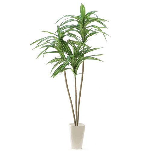 人工観葉植物 観葉植物 フェイクグリーン 160 170cm 植物 観葉植物 人工 シンプル グリーン オフィス おしゃれ 通販 インテリア 大型 室内 鉢 人工観葉樹 空気清浄 消臭 抗菌 光触媒 スタイリッシュで迫力ある葉 リアル ドラセナ ワーネッキー 3本立 スマートポット 人工観葉植物 観葉植物 フェイクグリーン 160 170cm 植物 観葉植物 人工 シンプル グリーン オフィス おしゃれ 通販 インテリア 大型 室内 鉢 人工観葉樹 空気清浄 消臭 抗菌 光触媒 スタイリッシュで迫力ある葉 リアル ドラセナ ワーネッキー 3本立 スマートポット