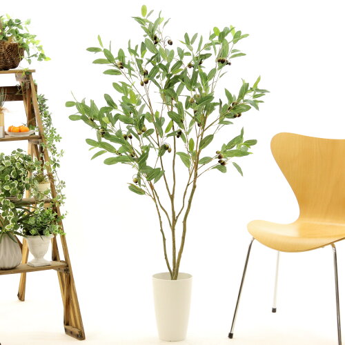 空気清浄 人工 オリーブ 消臭 人工観葉植物 シンプル 消臭 酸化チタン 室内 観葉植物 オフィス 大型 実付 脱臭 高さ130cm インテリア 造花 店 光触媒 光触媒 白丸ポット Chic7 130cm 銀 造花 人工観葉植物 葉に注意あり おしゃれ フェイクグリーン No Zoukacom 空気清浄 人工 オリーブ 消臭 人工観葉植物 シンプル 消臭 酸化チタン 室内 観葉植物 オフィス 大型 実付 脱臭 高さ130cm インテリア 造花 店 光触媒 光触媒 白丸ポット Chic7 130cm 銀 造花 人工観葉植物 葉に注意あり おしゃれ フェイクグリーン No Zoukacom