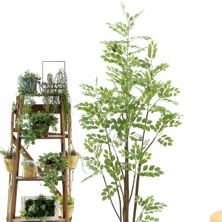 全国無料 Sale人工 観葉植物 フェイクグリーン 160cm シンプル オフィス おしゃれ インテリア 大型 室内 鉢 観葉樹 空気清浄 消臭 抗菌 銀 酸化チタン 光触媒 リアル シマトネリコ 4本立 高さ160cm スマートポ 全国無料 Sale人工 観葉植物 フェイクグリーン 160cm シンプル オフィス おしゃれ インテリア 大型 室内 鉢 観葉樹 空気清浄 消臭 抗菌 銀 酸化チタン 光触媒 リアル シマトネリコ 4本立 高さ160cm スマートポ