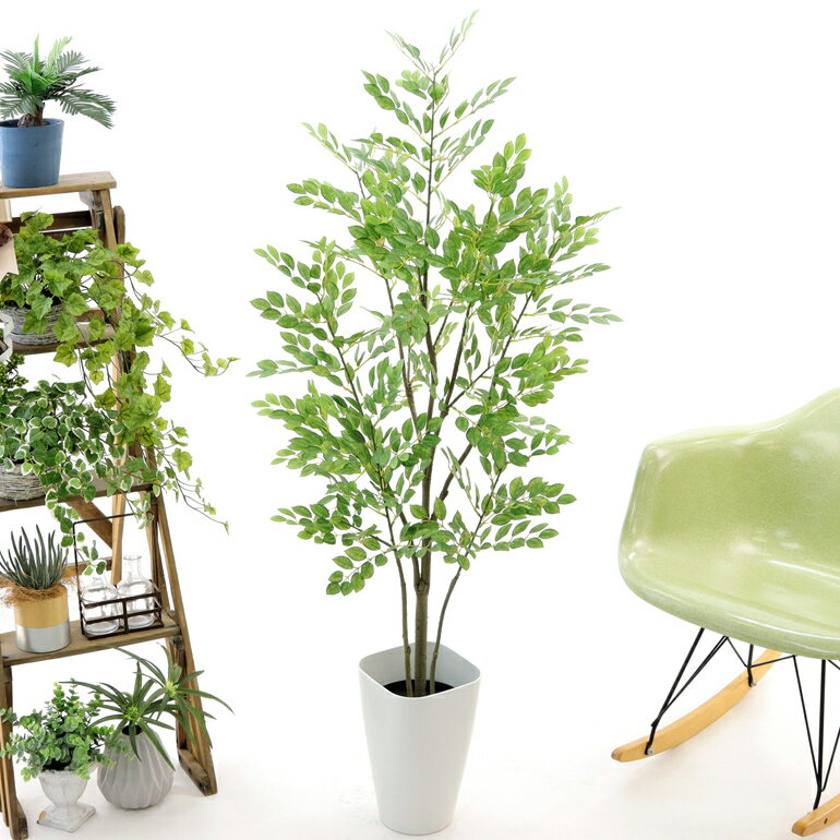 光触媒人工観葉植物造花観葉樹フェイクグリーン130cmシンプルオフィスおしゃれインテリア大型室内鉢空気清浄消臭抗菌銀酸化チタン擬木リアル「シマトネリコ高さ130cm幅65cmスマートポット(CHIC8)」【日時指定・ギフト不可】No93701