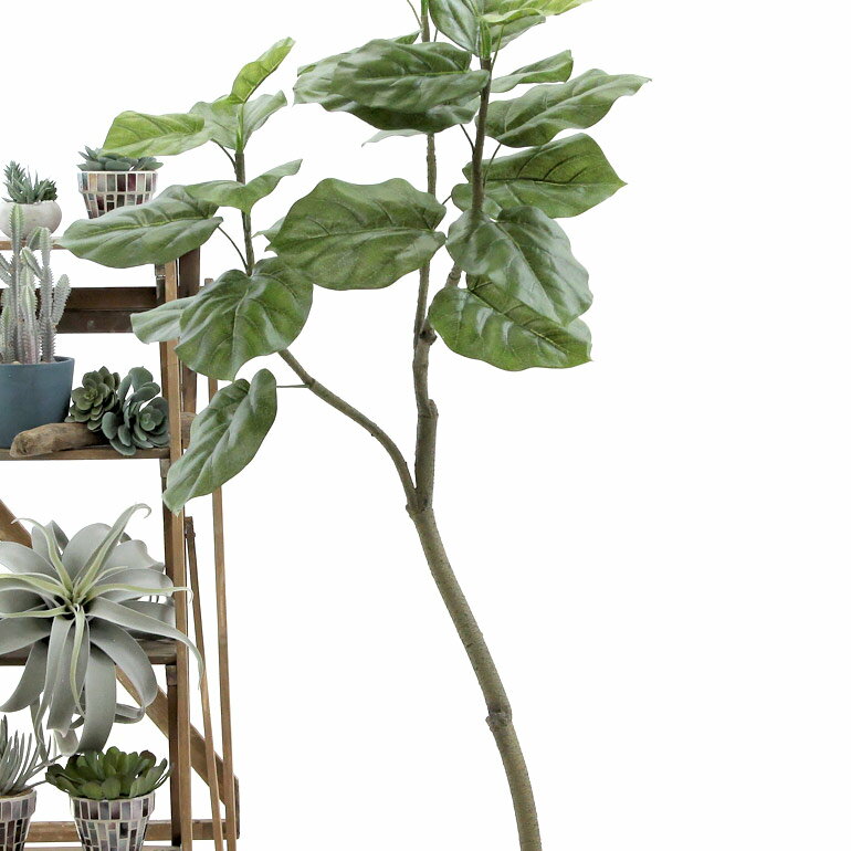 人工 観葉植物 造花 フェイクグリーン 150 160cm おしゃれ インテリア 大型 室内 鉢 シンプル オフィス 銀 酸化チタン 光触媒 空気清浄 消臭 幹を曲げて フィカス ウンベラータ 3枝 観葉 人工 観葉植物 造花 フェイクグリーン 150 160cm おしゃれ インテリア 大型 室内 鉢 シンプル オフィス 銀 酸化チタン 光触媒 空気清浄 消臭 幹を曲げて フィカス ウンベラータ 3枝 観葉