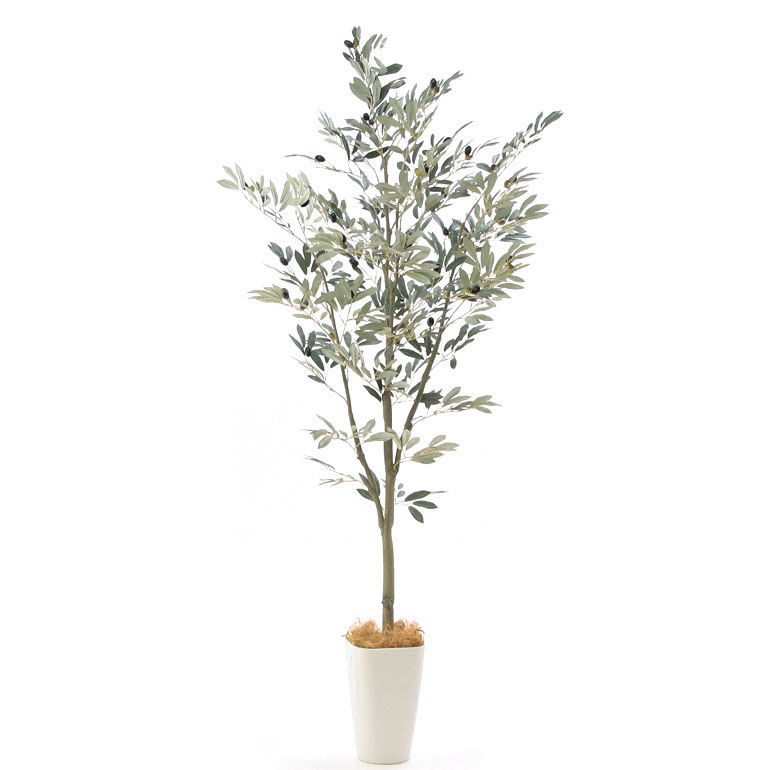 鉢 おしゃれ 大型 オリーブ みんな探してる人気モノ 鉢 おしゃれ 大型 オリーブ 鉢 おしゃれ 大型 オリーブ みんな探してる人気モノ 鉢 おしゃれ 大型 オリーブ