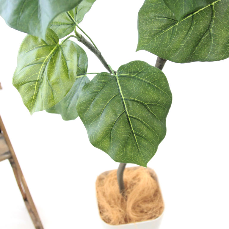 新品即決 人工 観葉植物 造花 フェイクグリーン 150cm 観葉植物 人工 シンプル オフィス おしゃれ インテリア 大型 室内 鉢 空気清浄 消臭 銀 酸化チタン 光触媒 リアル フィカス ウンベラータ 豪華 5枝 スマートポット Chic8 ヤシの繊維 日付指定 ギフト No921 工場 新品即決 人工 観葉植物 造花 フェイクグリーン 150cm 観葉植物 人工 シンプル オフィス おしゃれ インテリア 大型 室内 鉢 空気清浄 消臭 銀 酸化チタン 光触媒 リアル フィカス ウンベラータ 豪華 5枝 スマートポット Chic8 ヤシの繊維 日付指定 ギフト No921 工場