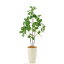 フェイクグリーン 観葉植物 フェイク 室内 大型 鉢 木 おしゃれ 光触媒 造花 リアル ハンドメイド ツツジ レモンリーフ インテリア 人気 空気清浄 人工 ヤシ 繊維 玄関 リビング オフィス 部屋 爽やか 緑 シンプル 初心者 抗菌 銀 酸化チタン 消臭 観葉樹 CHIC7 No32972