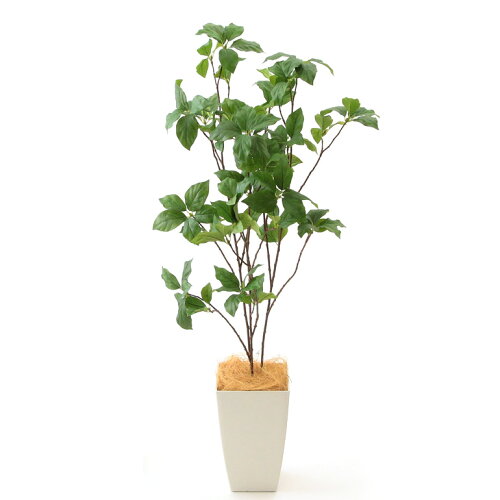 光触媒人工観葉樹 フェイクグリーン 自然な枝ぶり 通販 ハンドメイド品 安い サラサ ドウダンツツジ 3本立 高さ100cm 白角ポット 販売 Chic7 ヤシの繊維 西 90 Zoukacomショップ 店