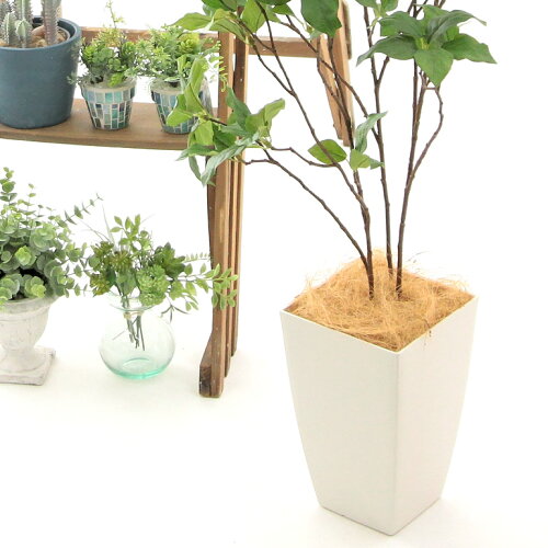 光触媒人工観葉樹 フェイクグリーン 自然な枝ぶり 通販 ハンドメイド品 安い サラサ ドウダンツツジ 3本立 高さ100cm 白角ポット 販売 Chic7 ヤシの繊維 西 90 Zoukacomショップ 店