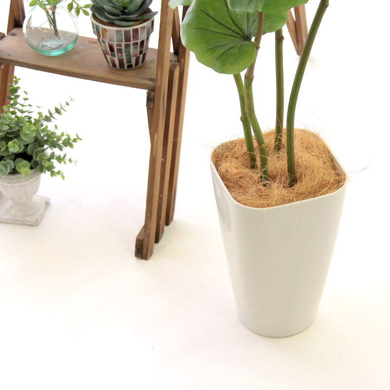 12 18 出荷予定 人工 観葉植物 造花 フェイクグリーン 150cm おしゃれ インテリア 大型 室内 鉢 シンプル オフィス 人工 デラックス リアル シーグレープ 4本立 観葉樹 スマートポット Chic8 12 18 出荷予定 人工 観葉植物 造花 フェイクグリーン 150cm おしゃれ インテリア 大型 室内 鉢 シンプル オフィス 人工 デラックス リアル シーグレープ 4本立 観葉樹 スマートポット Chic8