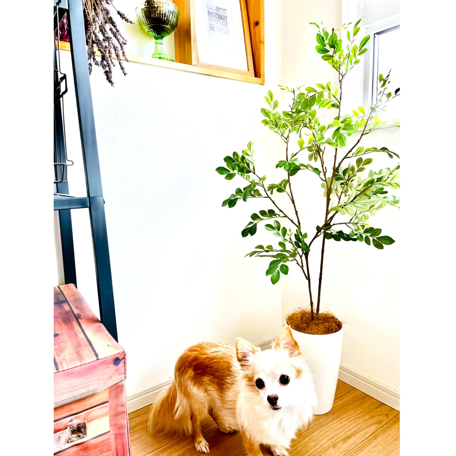 フェイクグリーン人工観葉植物造花光触媒鉢植木葉枝観葉樹室内110cm木おしゃれリアルシマトネリコ2本立インテリア人気空気清浄人工玄関リビングオフィス部屋爽やか緑シンプル初心者抗菌銀酸化チタン消臭観葉樹高さ110cmNo3545