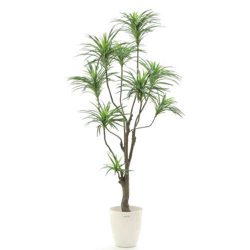 人工 木 人工観葉植物 観葉植物 シンプル フェイクグリーン オフィス おしゃれ 安い 180cm 人工観葉樹 空気清浄 観葉植物 インテリア 大型 室内 鉢 人工観葉樹 消臭 抗菌 光触媒 枝が自由に曲がります デラックス ドラセナ コンシンネ 9枝 高さ180cm ラスター 人工 木 人工観葉植物 観葉植物 シンプル フェイクグリーン オフィス おしゃれ 安い 180cm 人工観葉樹 空気清浄 観葉植物 インテリア 大型 室内 鉢 人工観葉樹 消臭 抗菌 光触媒 枝が自由に曲がります デラックス ドラセナ コンシンネ 9枝 高さ180cm ラスター