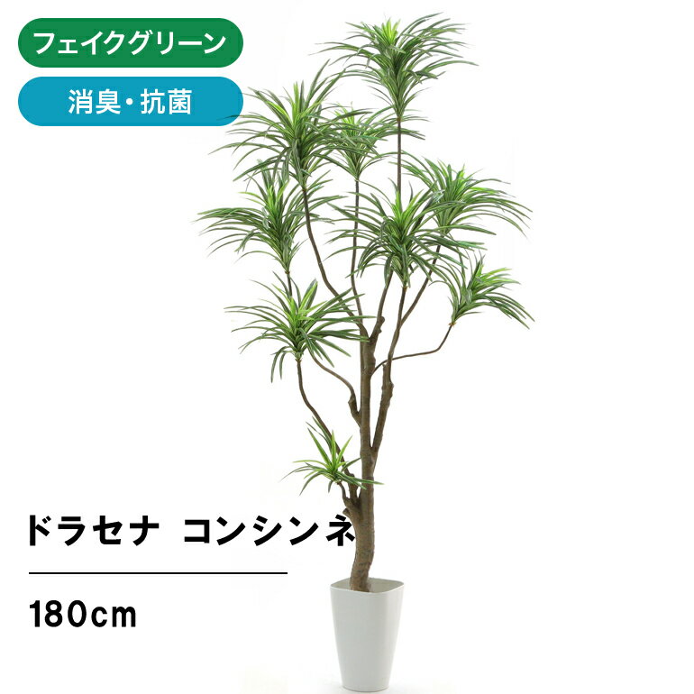フェイクグリーン 観葉植物 フェイク 人工観葉植物 大型 光触媒 造花 インテリア ドラセナ リアル おしゃれ お祝い 観葉 植物 シンプル オフィス 室内 鉢 空気清浄 消臭 抗菌 酸化チタン デラックス コンシンネ 9枝 高さ180cm スマートポット 【日付指定・ギフト不可】81824のサムネイル
