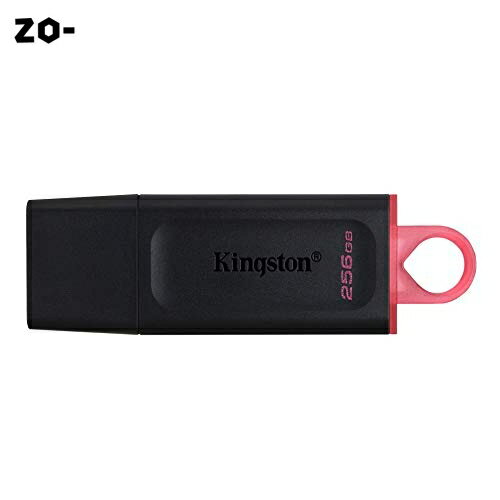 キングストン Kingston USBメモリ 256GB USB3.2(Gen1)/3.1(Gen1)/3.0 キャップ式 DataTraveler Exodia DTX/256GB