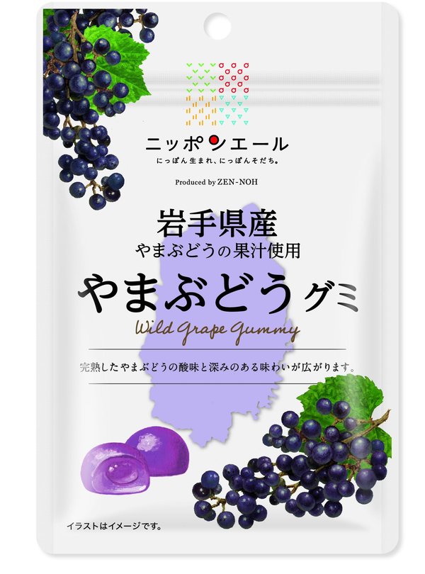 乐天商城 - モントワール 全農 岩手県産山葡萄グミ 40gx10袋