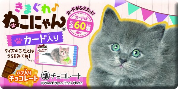 Rakuten - 正栄デリシィ きまぐれねこにゃん 1枚 x20個