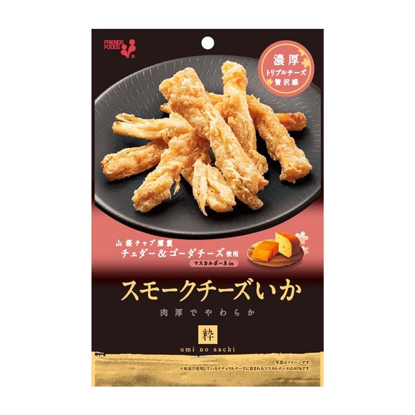 井上食品 スモークチーズいか 44gx10袋