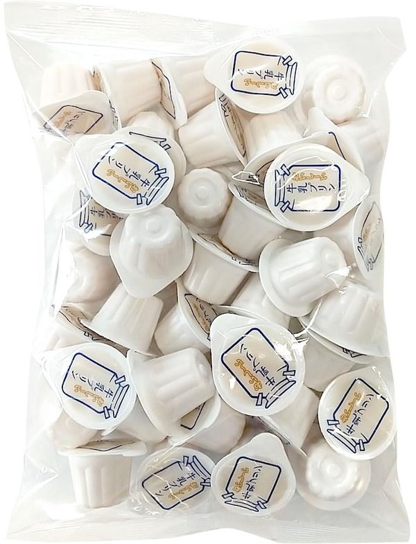 富士正おいしい牛乳プリン21gx40粒