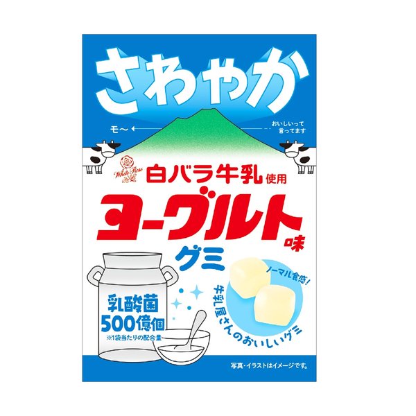 乐天商城 - アイデアパッケージ 白バラ牛乳使用ヨーグルト味グミ 40gx10袋