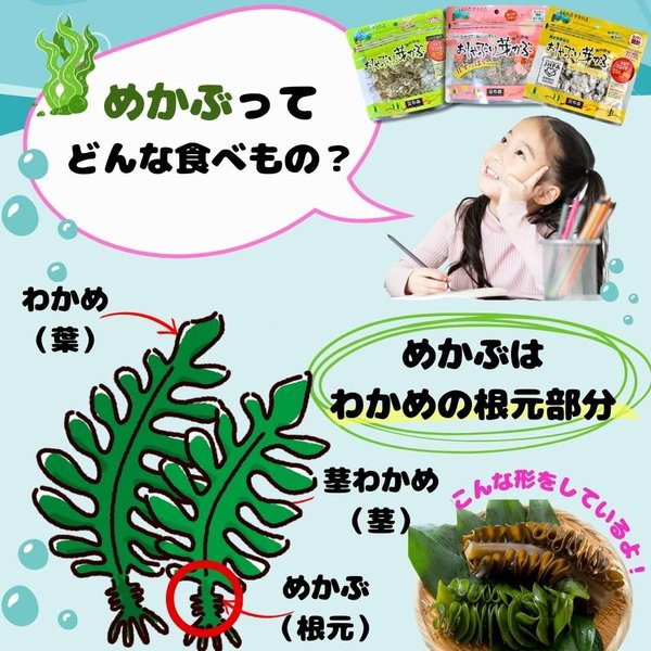昆布森 おしゃぶり芽かぶ めかぶ メカブ フコイダン豊富 おやつ (1個, ノーマル)