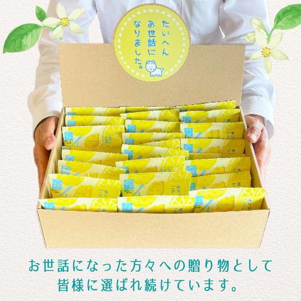 退職 お菓子 お世話になりました 個包装 ギフト (ミニパック8gx30個入り) 瀬戸内レモン イカ天 お配りお菓子 おやつ 小袋 イカフライ プチ ギフト 袋一つ一つに感謝のメッセージ付き! zozo-10090181 zo- サンプル画像2