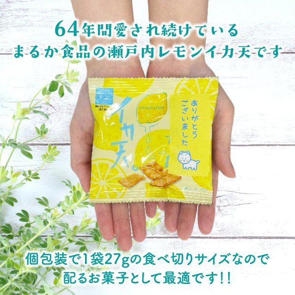 退職 お菓子 お世話になりました 個包装 ギフト (ミニパック8gx30個入り) 瀬戸内レモン イカ天 お配りお菓子 おやつ 小袋 イカフライ プチ ギフト 袋一つ一つに感謝のメッセージ付き! zozo-10090181 zo- サンプル画像3