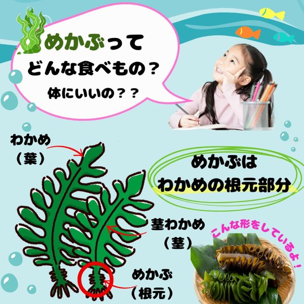 昆布森 おしゃぶり芽かぶ めかぶ メカブ フコイダン豊富 おやつ (3種アソートセッ...