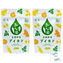 風と光　有機野菜ブイヨン 88g × 2袋 Topsellerオリジナル開封日シール付き　顆粒 パウダー 調味料【在庫あり】