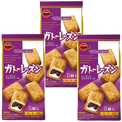 ガトーレーズン(3袋)おまけ付【在庫あり】