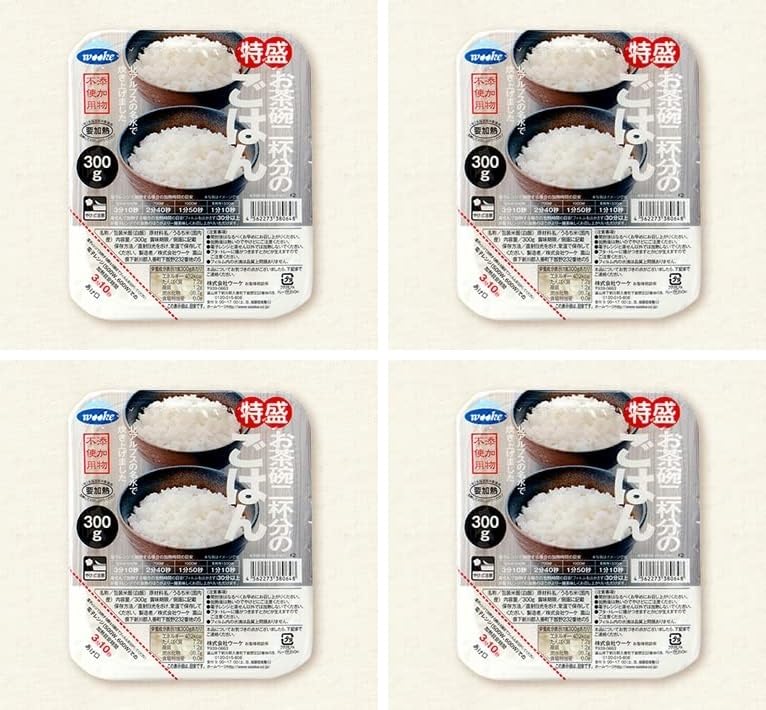 特盛お茶碗二杯分のごはん（4個セット）おまけ付き【在庫あり】