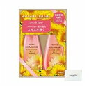 クラシエ ディアボーテお試し容量ペアセットG&R(400ml+400g) Topsellerオリジナルポケットティッシュ付き【在庫あり】