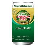 【1セット】カナダドライジンジャーエール 350ml x 30缶【C倉庫】