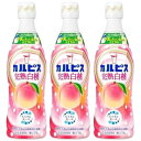 3本カルピス(R)完熟白桃 470ml アサヒ飲料 希釈 原液 乳性 乳酸菌飲料 国産生乳 酵母 発酵 自然製法 さわやかな風味 ホット アイス アレンジ自由 自分の好みの味 心やすらぐ飲料 おまけ付(シール)