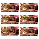 【6箱セット】カスタードケーキ<ショコラ> (6個入り) ふんわり ケーキ チョコカスタードクリーム とろ〜りチョコソース ボリュームに満足感 程よい甘さ ビス...