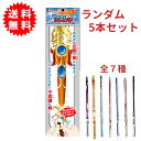 マジックバルーンソード ランダム5本セット 長さ約97cm つぶしてふくらむ!不思議な剣