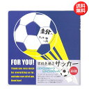 学校色紙2 サッカー AR0819069 寄せ書き色紙