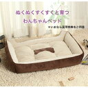 犬用ベッド 小型 小型 夏用ござ お得セット 冬用 (ベッド?マット/カドラー/ペットベッド)(犬用品/ペット商品/寝具 ) 四季用 春夏秋冬