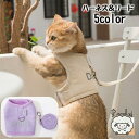 ハーネス リード 2点セット 猫用 犬用 小型犬 ペット用品 胴輪 散歩紐 リーシュ ロゴ 可愛い おしゃれ シンプル メッシュ 面ファスナー お散歩
