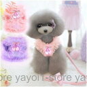 ペット用 猫用 犬用 リード 胴輪 ハーネス 2点セット ソフトハーネス メッシュ リボン フリル フリフリ レース チュール オーガンジー サクラン