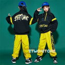 ヒップホップ ダンス衣装 セットアップ HIPHOP 男女兼用 ジャズダンス ダンスパーカー ダンスパンツ 練習着 ガールズ ステージ衣装 レッスン着