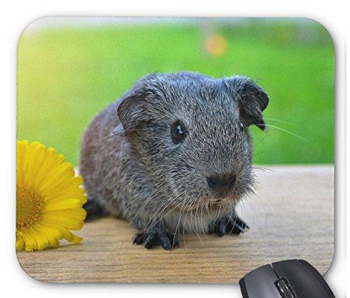 可愛いモルモットのマウスパッド：フォトパッド（世界の小動物シリーズ）